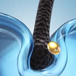 العناية بالبشرة والشعر